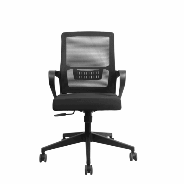 ECCO LB - Image 3