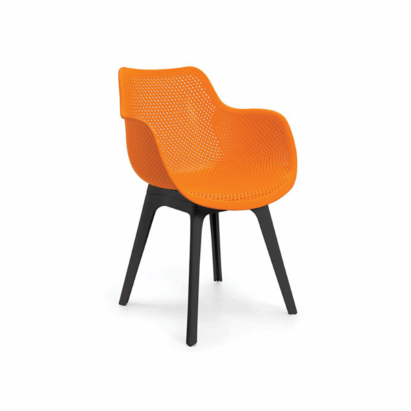 IKON SMART - Image 4
