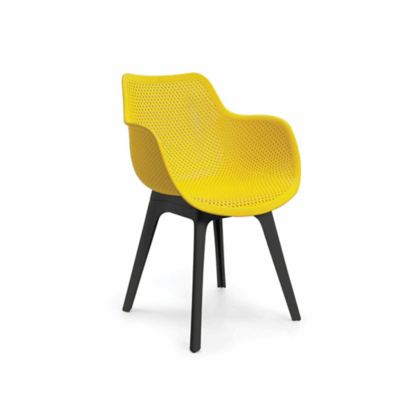 IKON SMART - Image 2