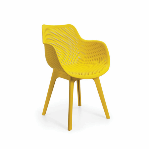 IKON - Image 2