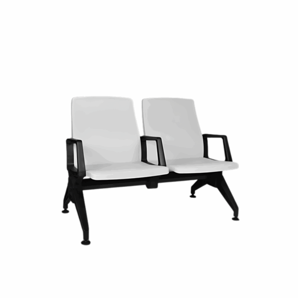 VIVA 2 SEATER
