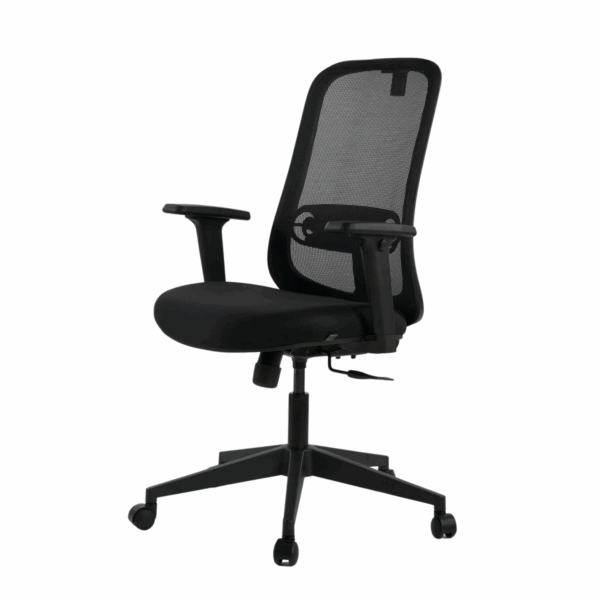 ZOOM MB - Image 3