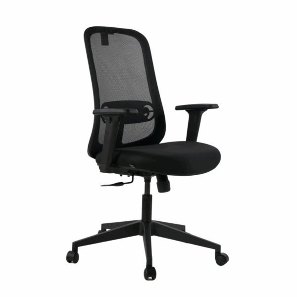 ZOOM MB - Image 4